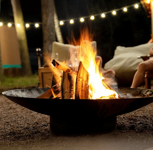 Benefits of Using Olive Firewood Logs for Home and BBQ